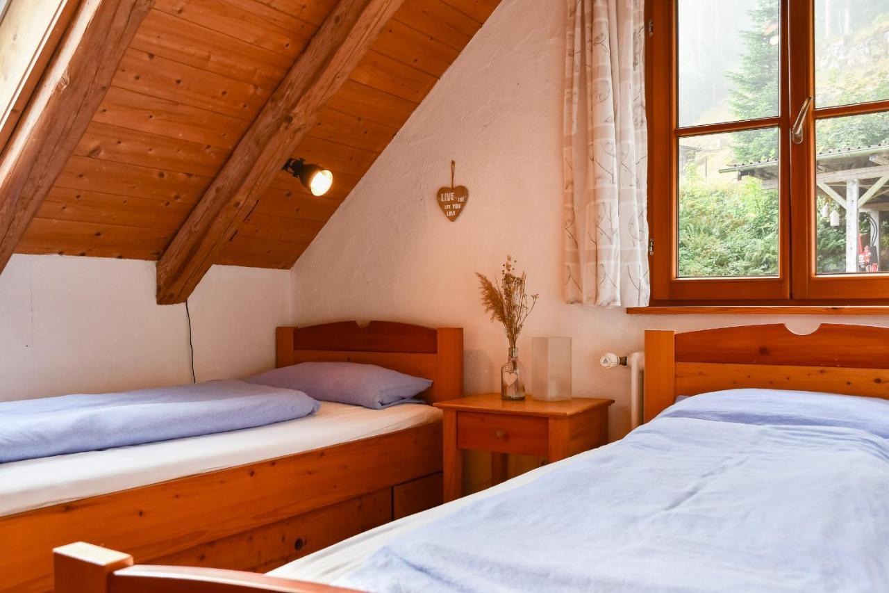 Ferienhaus Müllerswald *